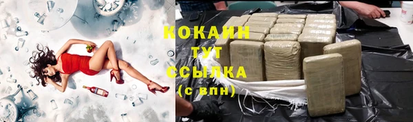 дживик Алзамай
